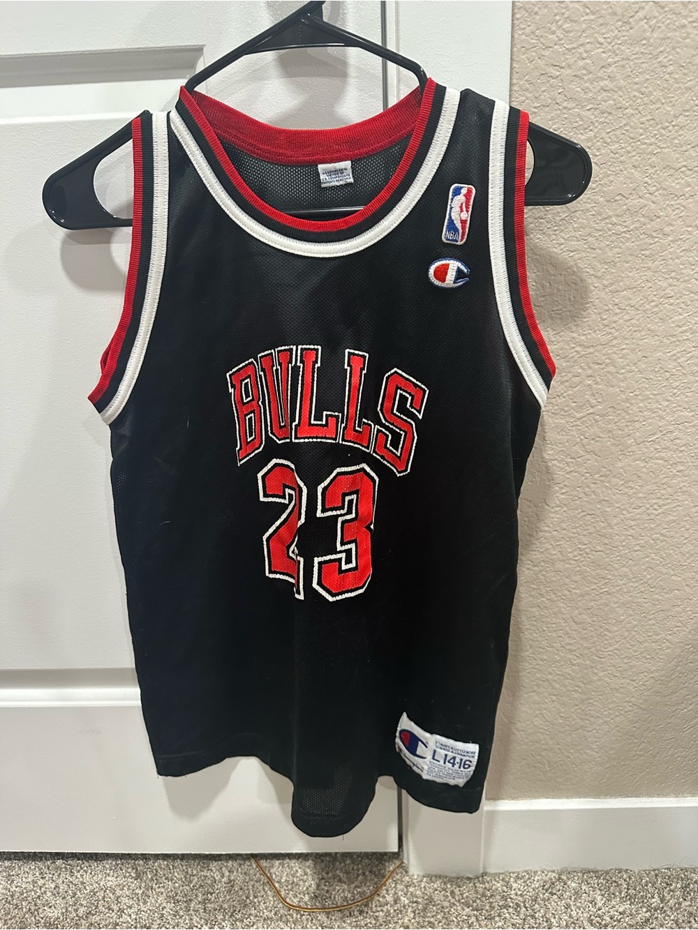 Champion Chicago bulls jersey